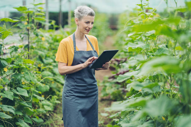 istock Farmer with digital tablet in a greenhouse 1486461196
