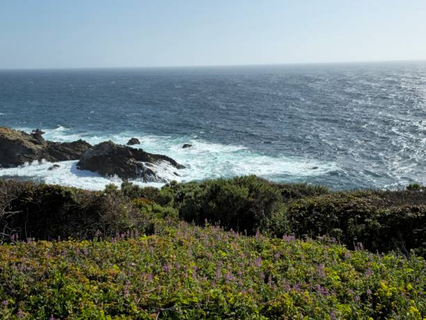 istock Green hill and ocean 1486472212