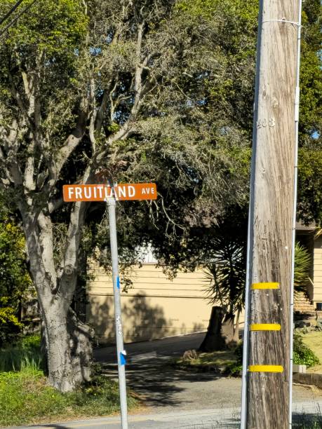 istock Street name Fruitland 1486473104