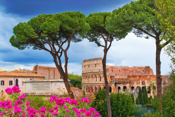 colosseo, roma, italia visto dal palatino - high angle view famous place roman roman forum foto e immagini stock