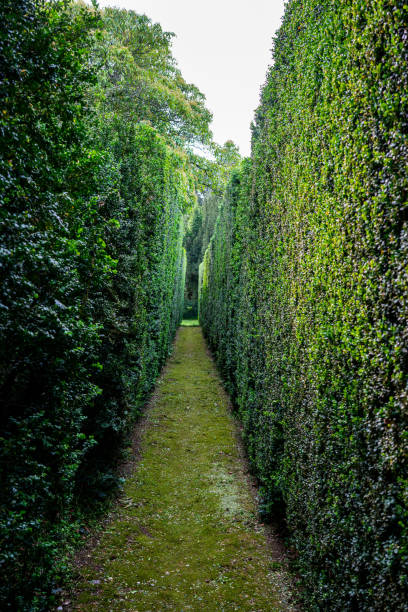 istock VIlla Barbarigo gardens are something beautiful 1486484690
