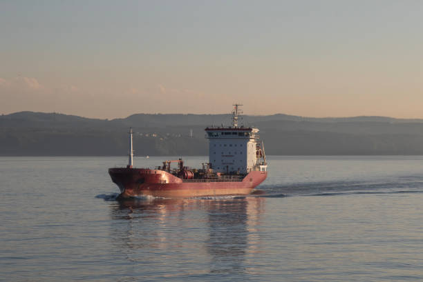 istock Cargo ship in in transit. Sea of Marmara. 1486488380