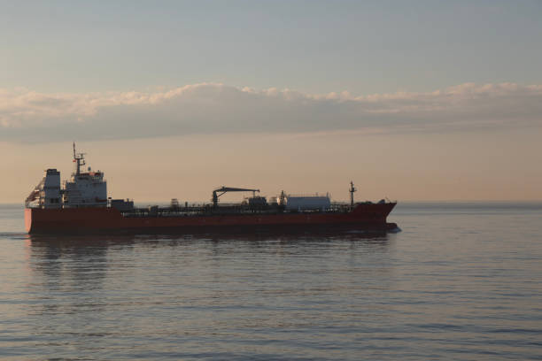 istock Cargo ship in in transit. Sea of Marmara. 1486488677