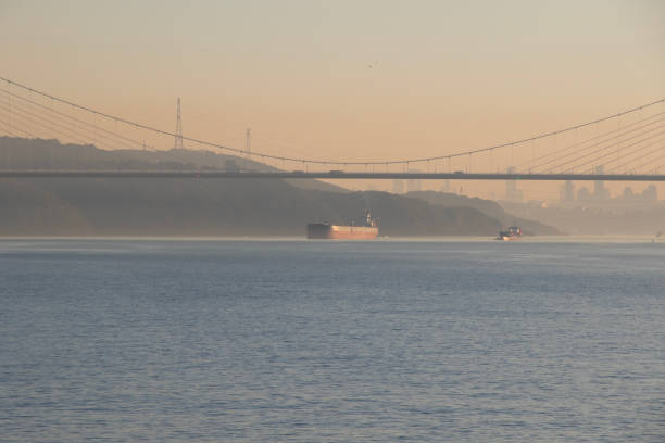 istock Cargo ship in in transit. Sea of Marmara. 1486490576