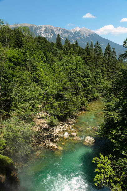 istock Vintgar Gorges near Bled in Slovenia 1486492219
