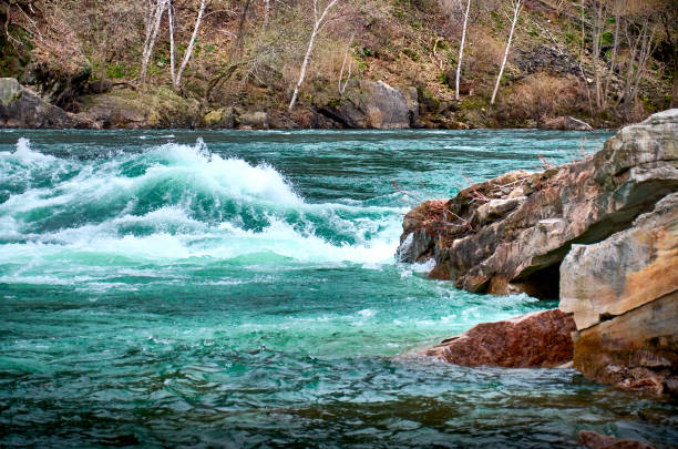 istock Rapid turquoise waters of the Niagara River in spring. Devil's Hole Rapids, Ontario, Canada 1486492612