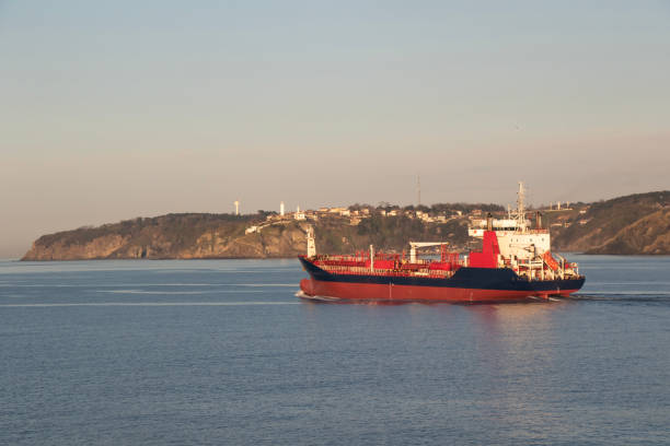 istock Cargo ship in in transit. Sea of Marmara. 1486492752