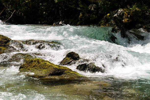istock Vintgar Gorges near Bled in Slovenia 1486493468