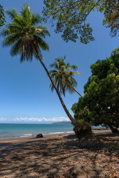 Sandy beach of the small town of Drake Bay, Puntarenas, Costa Rica stock photo