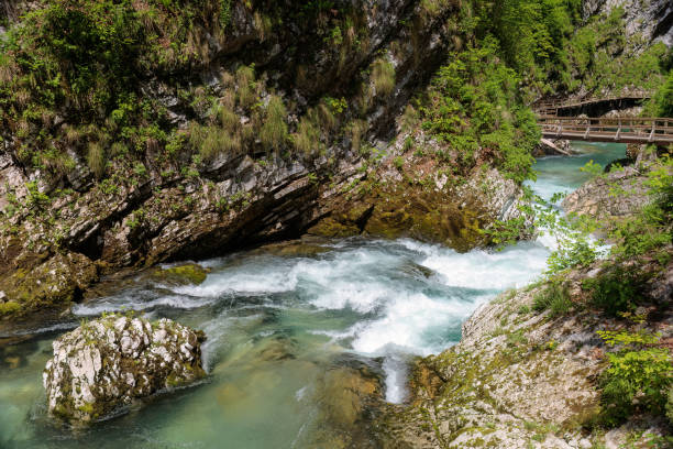 istock Vintgar Gorges near Bled in Slovenia 1486495303