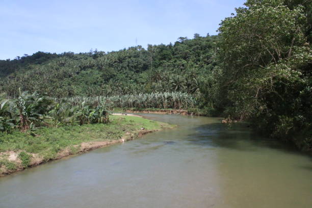 istock Tropical landscape. River in the jungle. 1486500496