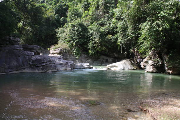 istock Tropical landscape. Mountain river in a tropical rainforest. 1486500550