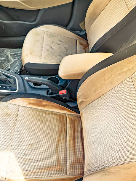 istock dirty car seats with mold growing 1486504114