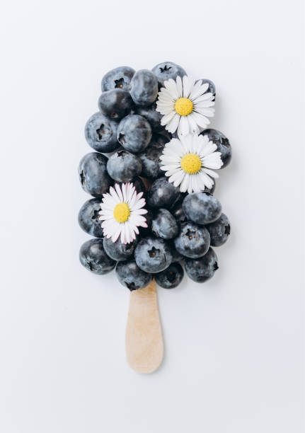 Ice-cream stick with fresh blueberries on it