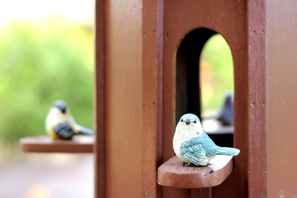 The blue and white bird model at bird house