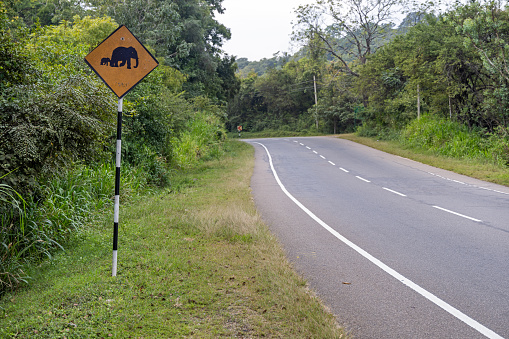 Road sign warning against crossing elephants in the jungle of the Minneiya National Park in the north central part of Sri Lanka