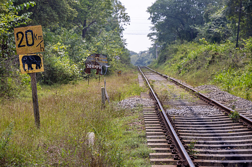 Habarana, North Central Province, Sri Lanka - March 2nd 2023:  Railroad track in a jungle with signs setting a speed limit due to crossing elephants