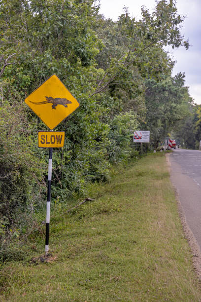 istock Road sign warning against crossing animals 1486511211