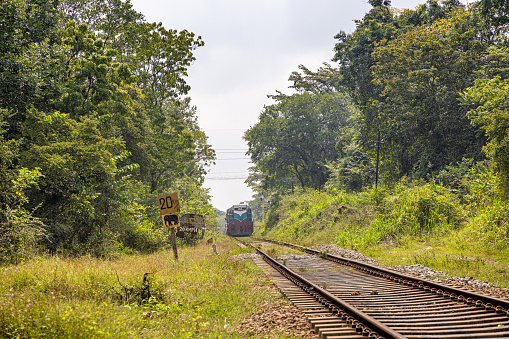 Habarana, North Central Province, Sri Lanka - March 2nd 2023:  Approaching train in a forest - notice the signs to the right, setting a speed limit due to crossing elephants