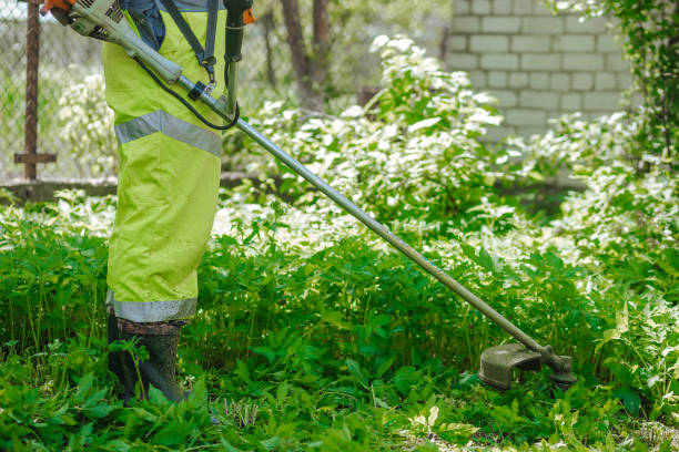 istock A man mows green grass with a manual lawn mower. Summer 1486512620