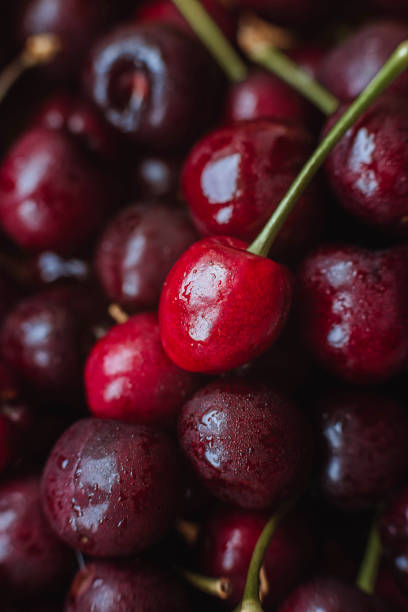 istock Cherries. Cherry background. Fruit background. Wet cherry with leaves and drops. 1486513259