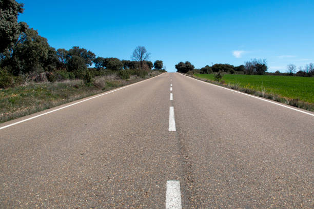 istock Straight asphalt road with its continuous and broken paint lines 1486514314
