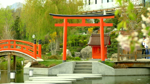 beautiful background - japanese garden