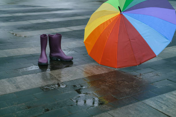 istock Rainbow umbrella and purple boots in rainy city 1486522638