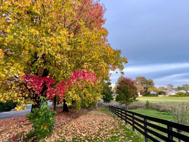 istock New England High Country Autumn Landscape 1486523619