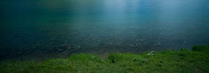 Panorama of grass and water surface on the lake shore. Natural background