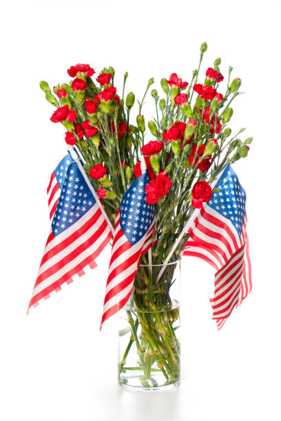 istock USA flags in a vase with carnation 1486531525