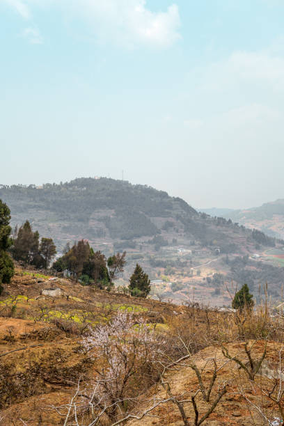 istock On a sunny day in the mountains 1486531746