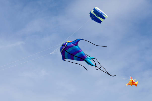 istock Fish-like kite flying in mid-air 1486535174