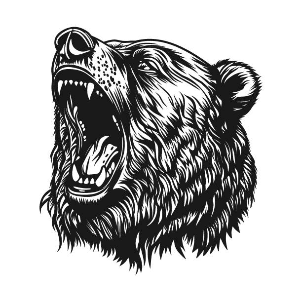 głowa niedźwiedzia grizzly ryczy. - niedźwiedź stock illustrations