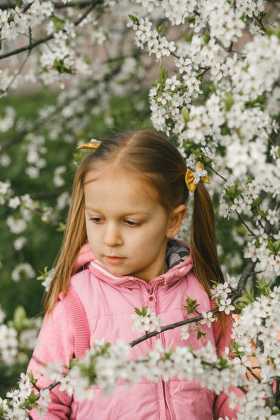 istock Girl under Cherry Blossom trees shaking the branches 1486536793