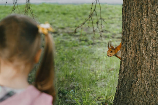 istock Little girl looking at a squirrel in the park 1486536998