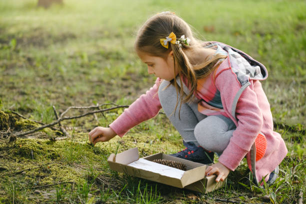 educazione alla natura. divertente attività per bambini all'aperto - scavenger hunt foto e immagini stock