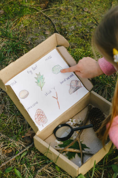 educación sobre la naturaleza. divertida actividad para niños al aire libre - scavenger hunt fotografías e imágenes de stock