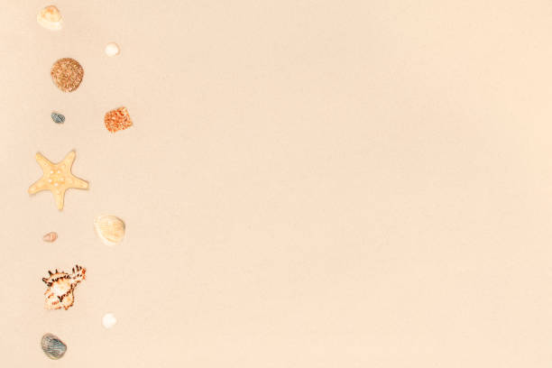 Starfish and shells on the sand as a background. Copyspace. Summer beach. Banner.