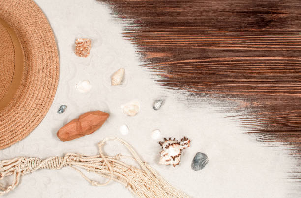 istock Sea shells near panama on sand with wooden background with space for text. Copyspace. View from above. 1486537677
