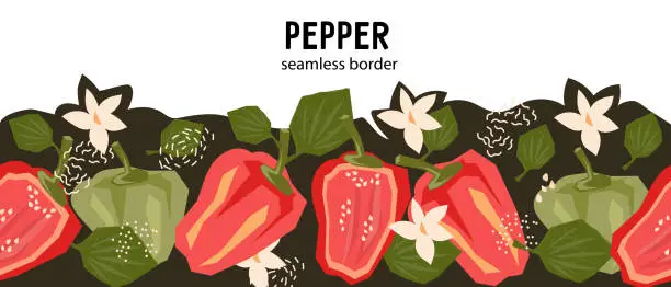 Vector illustration of Seamless pepper vegetables repeatable ornate or border design, flat vector isolated.