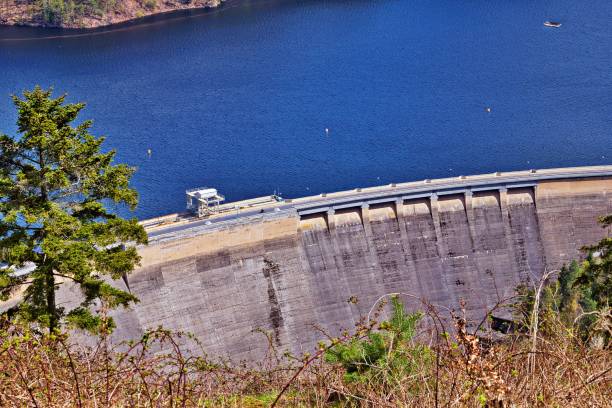 istock in spring at the Hohenwarte dam in the Thuringian Forest 1486541622