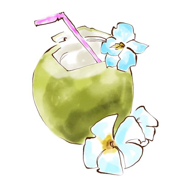 ilustraciones, imágenes clip art, dibujos animados e iconos de stock de cóctel de coco. ilustración digital de acuarela sobre fondo blanco - coconut orchid flower hawaii islands