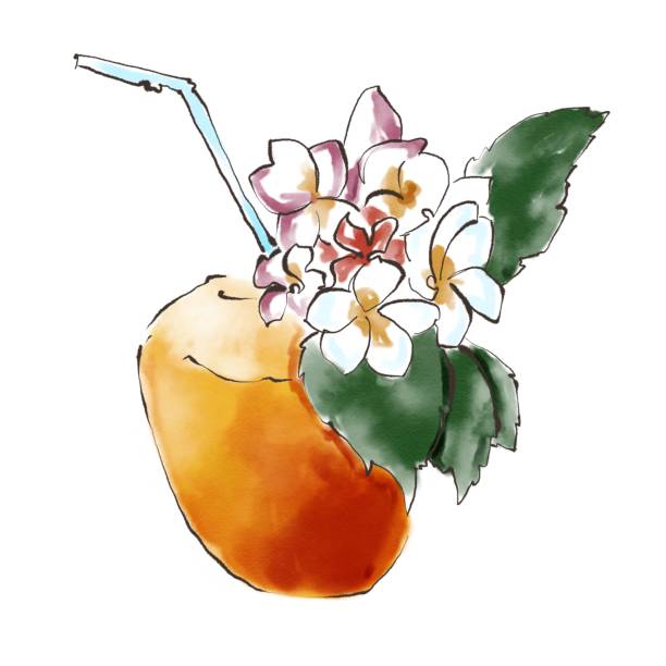 illustrations, cliparts, dessins animés et icônes de cocktail à la noix de coco. illustration numérique à l’aquarelle sur fond blanc - coconut orchid flower hawaii islands