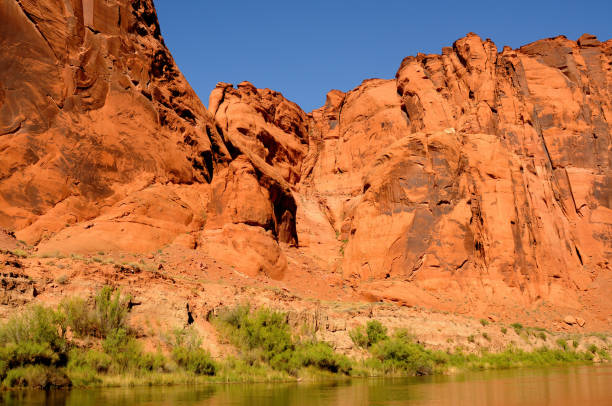 istock Colorado River Arizona 1486542963