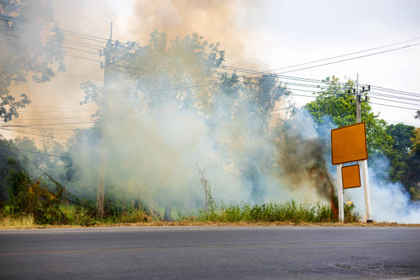 Views of burning grass and weeds on paved roads pollute clouds near signs and electric poles, which line the trees in the background of the Thai countryside.