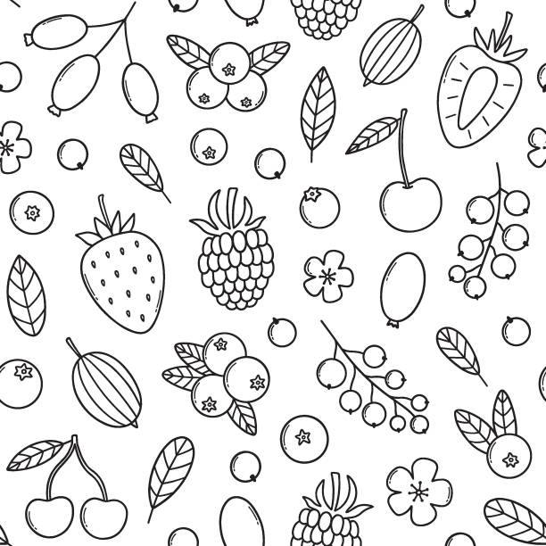 ðñð - gooseberry fruit berry backgrounds点のイラスト素材／クリップアート素材／マンガ素材／アイコン素材