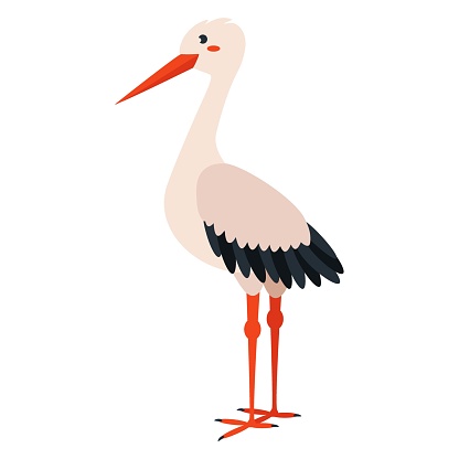 Cute, cartoon stork bird. Flat vector illustration isolated on white background.