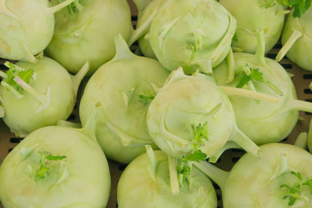 green kohlrabi close-up, top view. - kohlrabi imagens e fotografias de stock