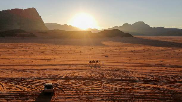 com uma caravana no deserto de wadi rum, jordânia - arabian oryx - fotografias e filmes do acervo